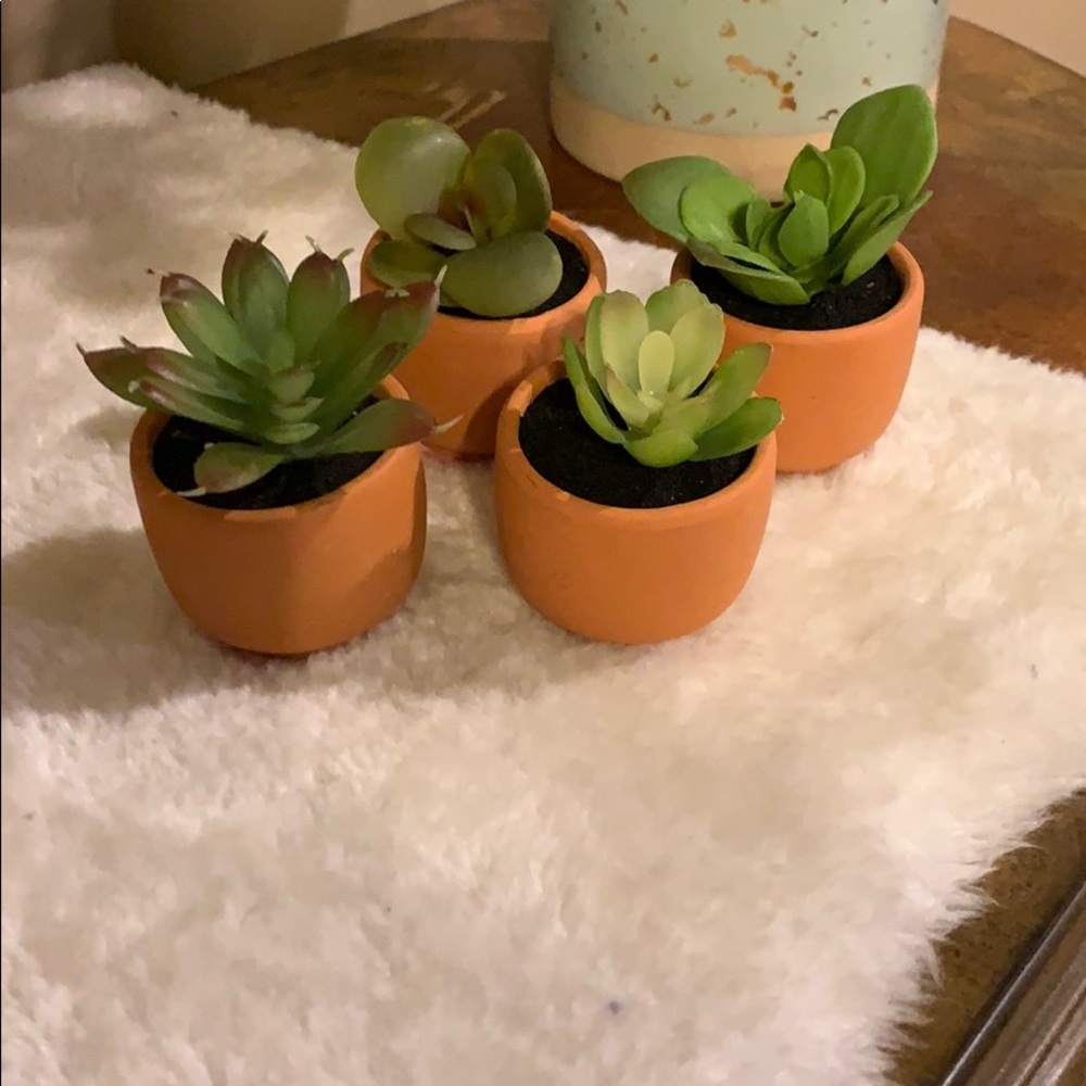 4 faux fake succulents in pots min size